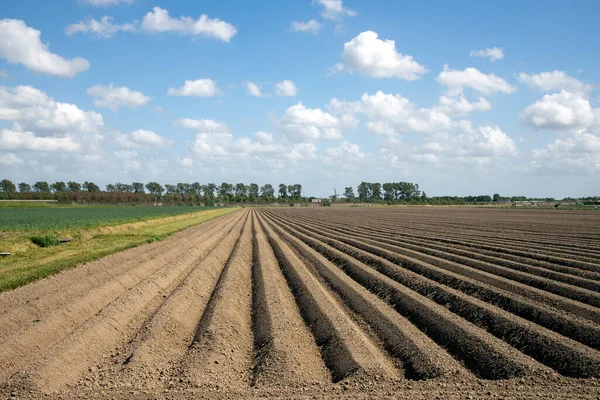 Padrão Sulcos Campo Arado Preparado Para Plantar Culturas Primavera Visão — Fotografia de Stock