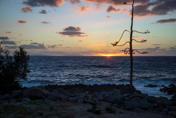 View Beach Zingaro National Park San Vito Capo Sicily Italy — Stock Photo, Image