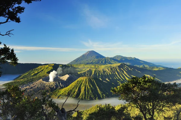 Java island's active volcano