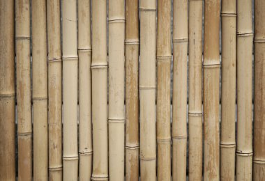 Bambu desen