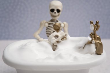 İskelet köpek şampuanı