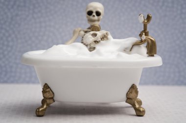 İskelet köpek şampuanı