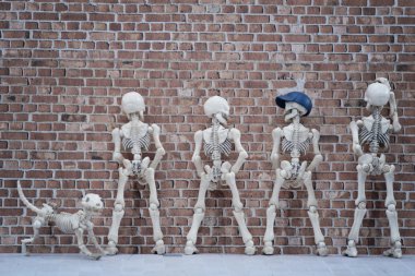 Dört iğrenç iskeletler