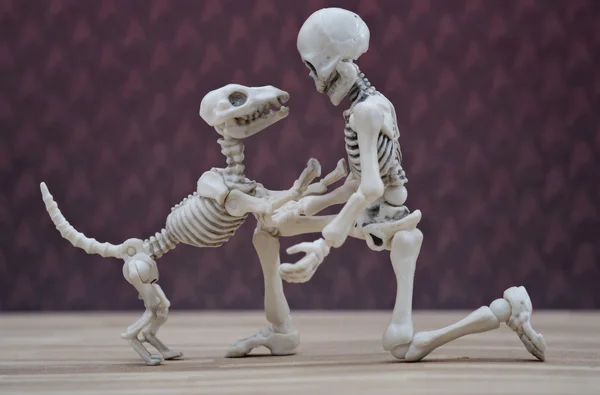 Skelett och hund — Stockfoto