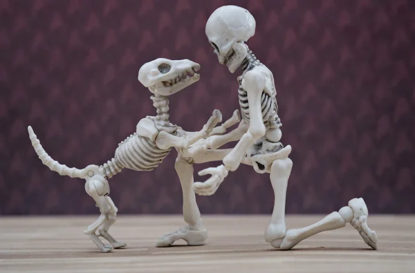 İskelet ve köpek