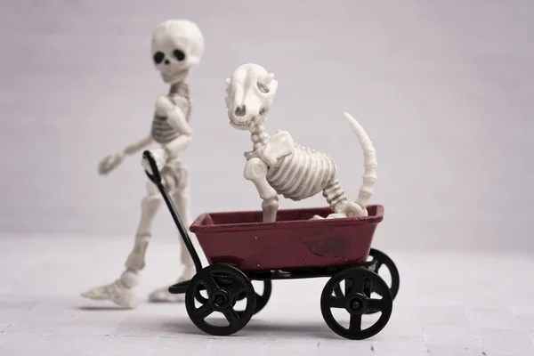 Esqueleto niño y perro jugando tiempo — Foto de Stock