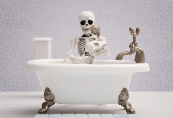 Skeleton dog bath — Stock Photo, Image