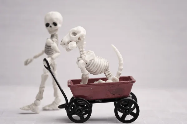 Esqueleto niño y perro jugando tiempo — Foto de Stock