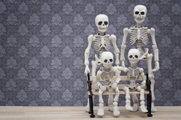 Retrato familiar esqueleto —  Fotos de Stock