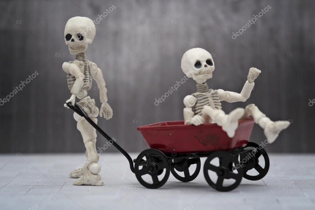 skeleton toys for kids