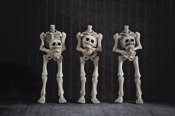 Τρεις ακέφαλοι σκελετοί — Φωτογραφία Αρχείου