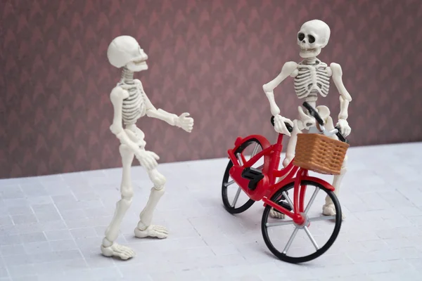 Two skeleton friend — Stock Photo, Image