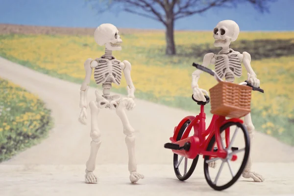 Springy skeleton friends — Stock Photo, Image