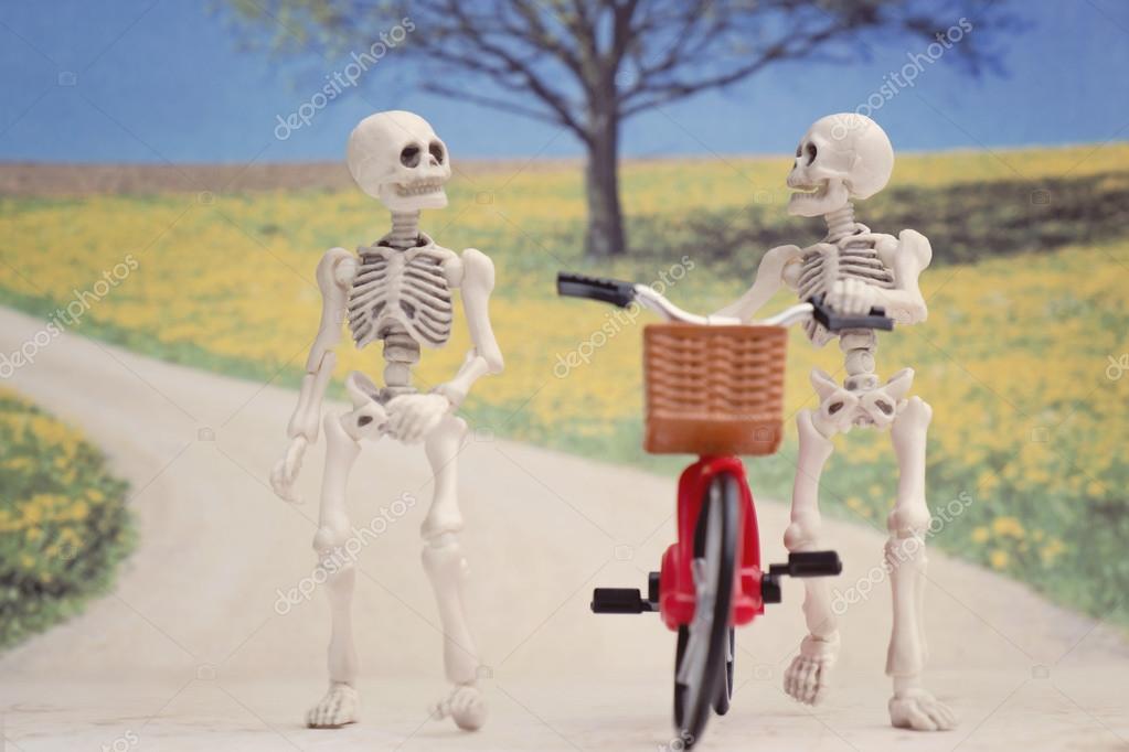 Springy skeleton friends Stock Photo by ©ocipalla 123161130