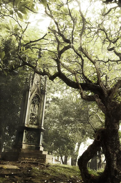 Der beängstigende Friedhof — Stockfoto