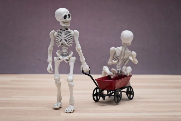 Skeletten en speelgoed wagon — Stockfoto