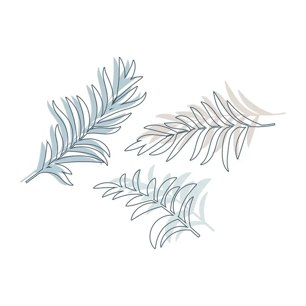 Набор Пальм Тропических Листьев Изолирован Белом Экзотическом Цветочном Элементе Дизайна — стоковый вектор