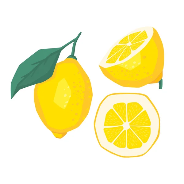 Limon dilimleri. Taze narenciye, yarım dilimlenmiş limon ve doğranmış limon. Limon dilimleri kes ve limonata suyuna tat ver. Çizgi film vektör çizimi beyaz arkaplanda izole edildi