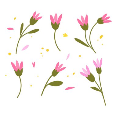 El yapımı bitkiler koleksiyonu. Botanik çizim çiçekleri ve dallar, vektör çizimleri