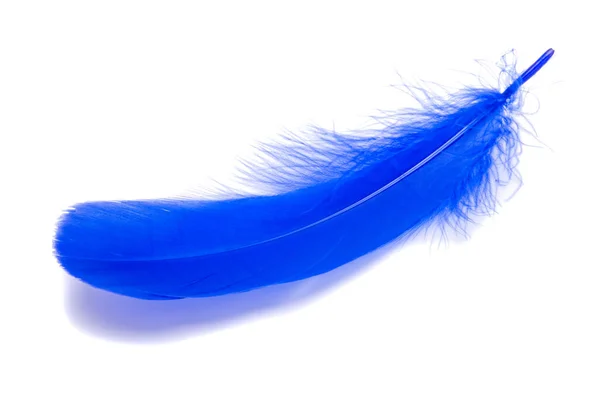 Pena Macia Azul Isolada Branco — Fotografia de Stock