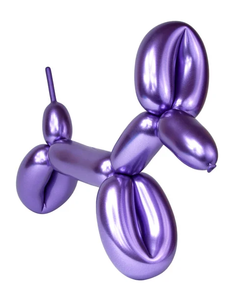 Mor parlak balon köpek beyazı izole etti.
