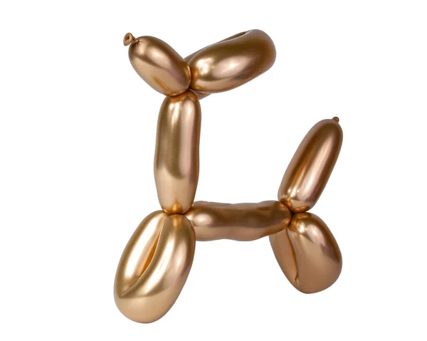 Golden Ljus Ballong Hund Isolerad Den Vita — Stockfoto