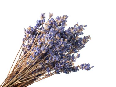 Beyaz arkaplanda kurumuş lavanta çiçekleri var.