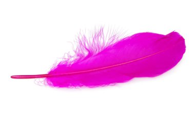 Beyaz arkaplanda pembe dekoratif kuş tüyü izole edilmiş.