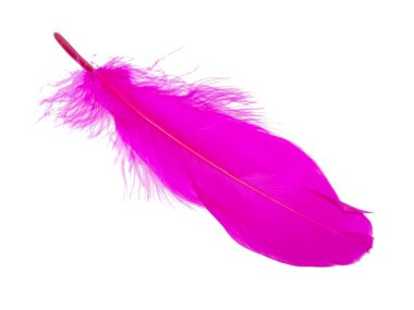 Beyaz arkaplanda pembe dekoratif kuş tüyü izole edilmiş.