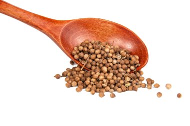 Beyaz arka planda izole edilmiş ahşap kaşıkta kurutulmuş kişniş baharatları.