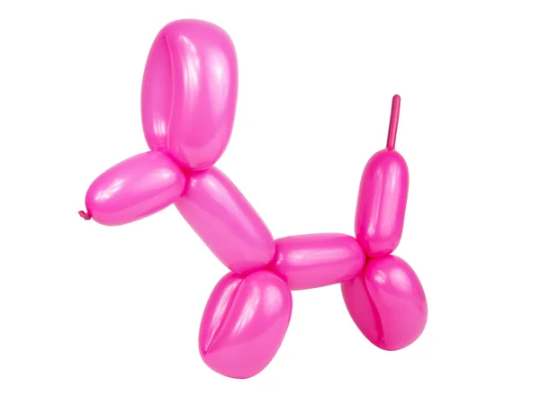 Parti pembe balon köpek beyaz arka planda izole