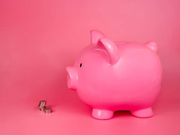 Pink Piggy Bank Cerâmica Dinheiro Moedas Brinquedo Isolado Fundo Branco — Fotografia de Stock