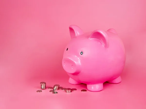 Pink Piggy Bank Cerâmica Dinheiro Moedas Brinquedo Fundo Rosa — Fotografia de Stock