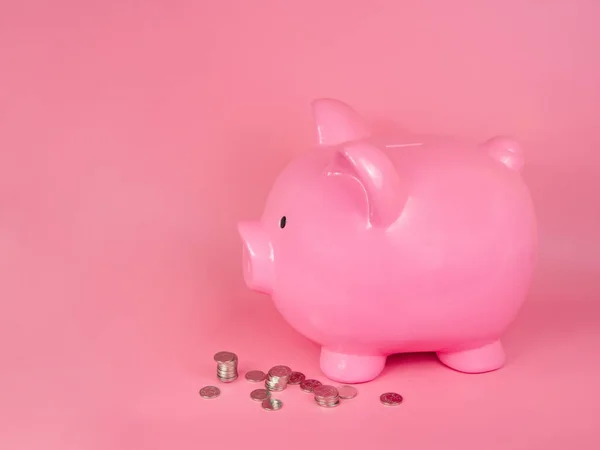 Pink piggy bank ceramic money coins toy on pink background