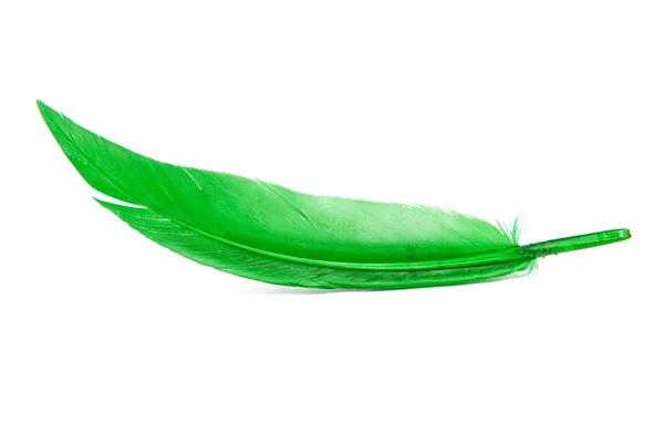 Bright Green Feather Isolated White Background — Stock Photo, Image