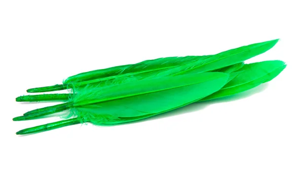 Leuchtend Grüne Feder Isoliert Auf Weißem Hintergrund — Stockfoto