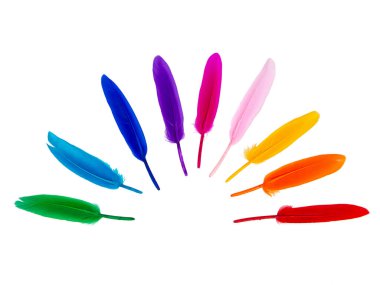 Beyaz arkaplanda izole edilmiş çok renkli gökkuşağı tüyleri