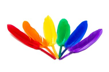 Beyaz arkaplanda izole edilmiş çok renkli gökkuşağı tüyleri