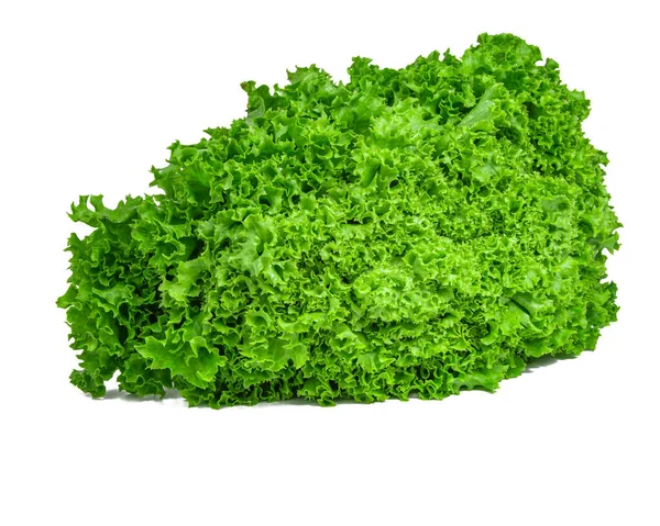 Green Fresh Bunch Lettuce Isolated White Background — Stock Photo, Image