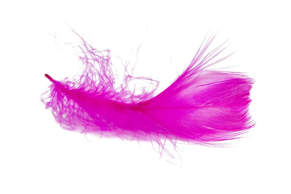 白い背景に孤立したピンクの羽 — ストック写真