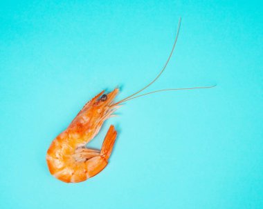 Mavi zemin üzerinde taze deniz karidesi