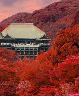 Kiyomizu-dera Tapınağı günbatımı sonbahar kırmızı yaprakları V