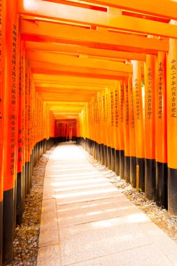 Fushimi Inari tapınak yazma Torii Gates V kavisli
