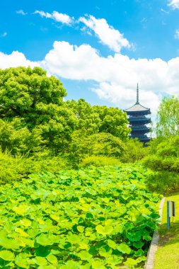 Toji beş hikaye Pagoda kule Lilypad Bahçe kadar