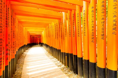 Fushimi Inari tapınak yazma Torii Gates H eğri