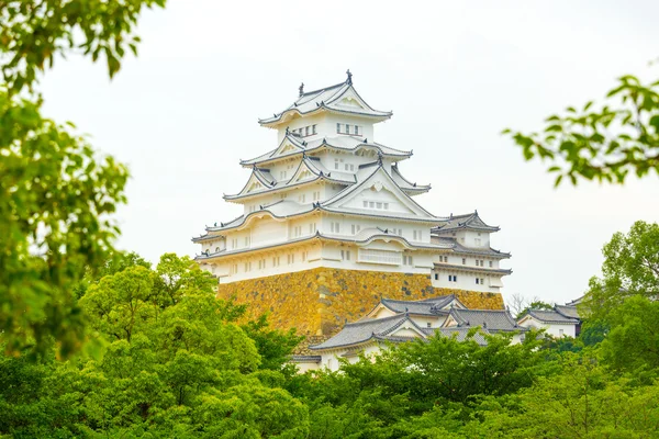 Himeji Jo slott inramat träd Detaljer H — Stockfoto