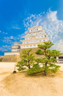 Himeji Jo Castle temel Stronghold ağaç mavi gökyüzü V