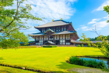 Çim H Daibutsuden büyük Buda salon açık açılı