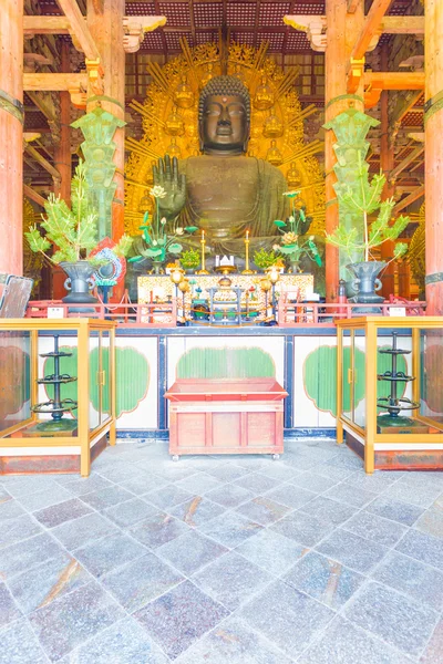 Daibutsu socha přední střed Buddha Aula V — Stock fotografie