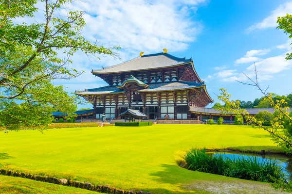 Çim H Daibutsuden büyük Buda salon açık açılı